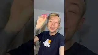 МОЯ СОБАКА МОГЛА УМЕРЕТЬ … 
