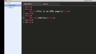 HTML & CSS Tutorial: CSS Basics!