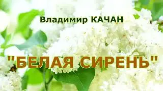 Владимир Качан 