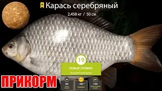 ЖЕСТЬ! ПОЙМАЛ 2 ТРОФЕЙНЫХ КАРАСЯ ПОДРЯД С ПРИКОРМОЧНОЙ СМЕСЬЮ НА СТАРОМ ОСТРОГЕ! РУССКАЯ РЫБАЛКА