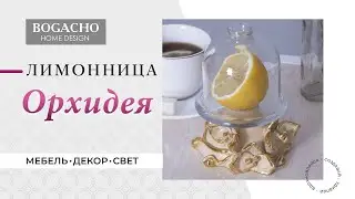 BOGACHO. Лимонница Орхидея