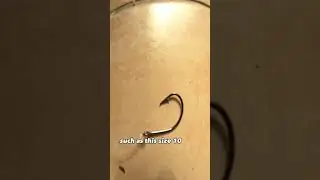 How To CATCH MULLET 🐟 (EASY and EFFECTIVE METHOD)