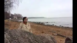 Осенний Петергоф ноябрь 2015 год