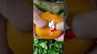 C&B posting 1