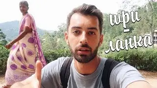 Мы пьём грязный чай? Как пить чай? ШРИ-ЛАНКА - что посмотреть?