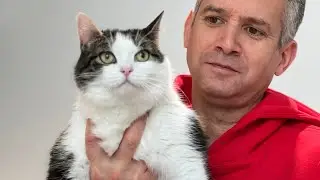 Elie and I went to the vet and after thoroughly checked there was no underlying health issues found