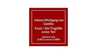 Faust Hörbuch Der Tragödie erster Teil Hörspiel🤜🏼 Johann Wolfgang von Goethe | Selbst Lesen ist blöd