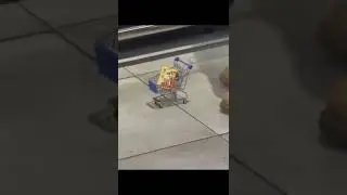 «Началось»: видео из столичного супермаркета набирает популярность