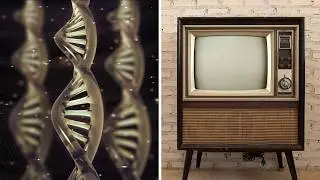 ▽ Открытия и изобретения, которые принадлежат не тем, кому мы думаем