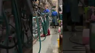 Milk machine Holstein 