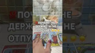 7 июля 2024 г.