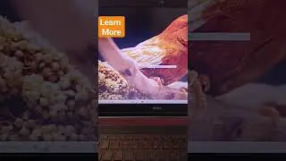 how to connect the monitor to the laptop #windows #computerbasedtraining #technology #networking