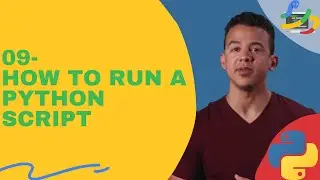 09-How to Run a Python Script | Bash Scripting | regular expression | python data structures