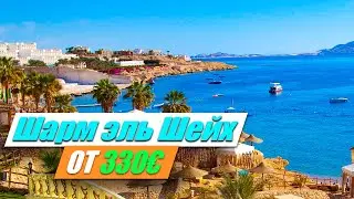 СУПЕР ЦЕНЫ ЕГИПТА - Шарм эль Шейха от 330 ЕВРО за человека в 2023-2024 ГОДУ!
