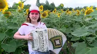 Алина  песня ( Летят перелетные птицы )  на гармони