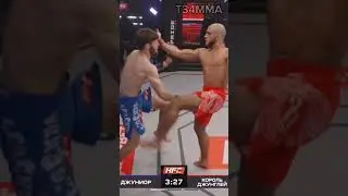 ⚡ "Король Джунглей" Сергей Шишкин вернулся после травмы HFC MMA 🥊👏