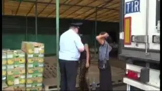 Подмосковными полицейскими пресечена незаконная миграция