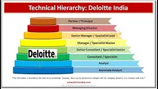 Deloitte Technical Hierarchy 