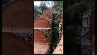 How to carve a staircase into a log