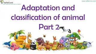 adaptation and classification of animals l vertebrates and Invertebrates l mammals, amphibians