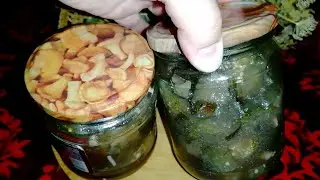 Баклажаны как грибы на зиму простой рецепт проверенный годами