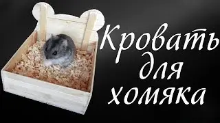 Your hands Bed. Bed for hamster.
