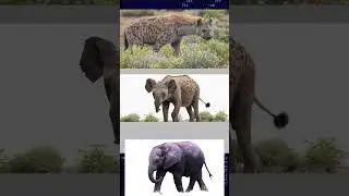 AI Combine Animals