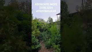 Вт, 27 авг 2024. Погода утро 9:15 #Голубицкая. Азовское море.