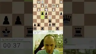 Панду ЗАМОЧИЛИ! Жигалко Сергей #shorts