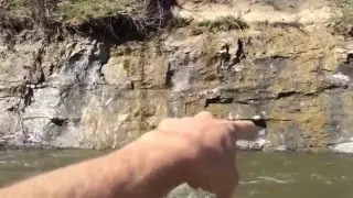 Amazing River Fossil hunting trip March 2016 with Mosasaur Shark Mastadon