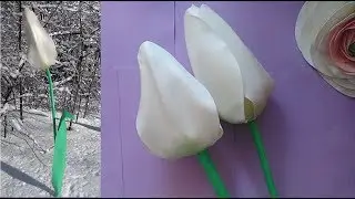 Мастер - класс ТЮЛЬПАН из изолона