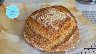 Sourdough Bread with Bran in the Oven at Home from A to Z for Beginners and Not Only