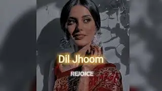 Dil Jhoom [slowed+reverb] || REJOICE