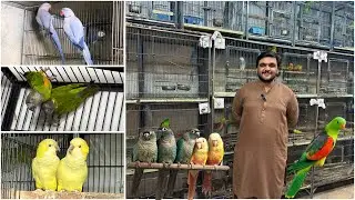 Multan Sunday Birds Rasheedabad latest Update I 25 May 2024  t