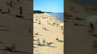 Если вы заметили, что море резко отступило, немедленно бегите!