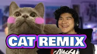 i remixed my cat