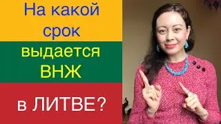 На какой срок в Литве выдается ВНЖ?