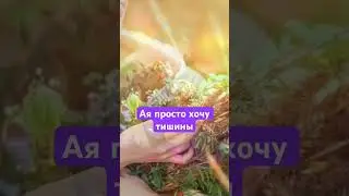 #многомерныйпсихолог