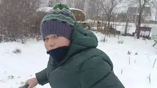 25 ноября 2023 г.
