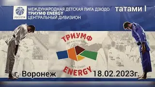 Международная детская лига дзюдо центральный дивизион 1й тур 2й этап г. Воронеж 18.02.2023г.