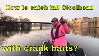 Anglers, Start Your Engines! Steelhead Are Running In The Grand River.