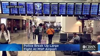 Police Break Up 'Fisticuffs' At MSP Airport