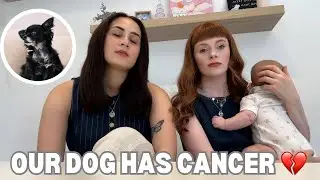 OUR DOG HAS CANCER 💔
