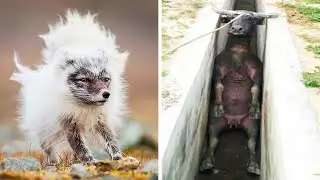 Фото, которые тебя удивят (часть 128)