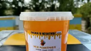 Продаю Мед прямо з пасіки