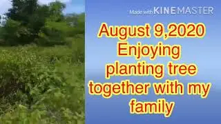 Planting Trees  and Mahogany for Mother Earth