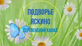 Подворье Яскино - итоги ведения канала и планы на будущее///первая часть