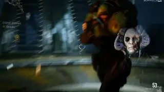 Чучуть WARFRAME
