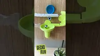 Oddly Satisfying Gecko Run #stem  #diy #oddlysatisfying