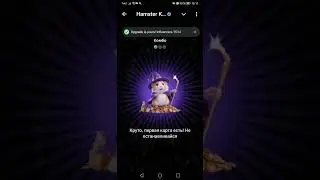 Комбо карты Hamster Kombat 2 - 3 августа 2024: карты, секреты и как найти комбо сегодня в Хомяке